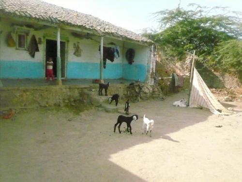 Suleman family house in Kutch, India